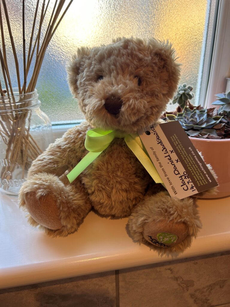 Soft, tan teddy bear with a green ribbon sits on a windowsill, alongside a jar and succulents, highlighting warmth and comfort.