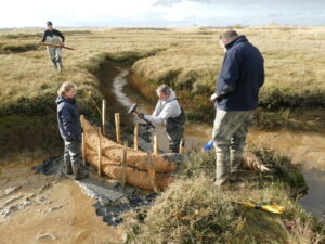 Two workers in waterproof gear and a woman stand near a construction site, assembling a protective barrier from natural materials on a wetland.