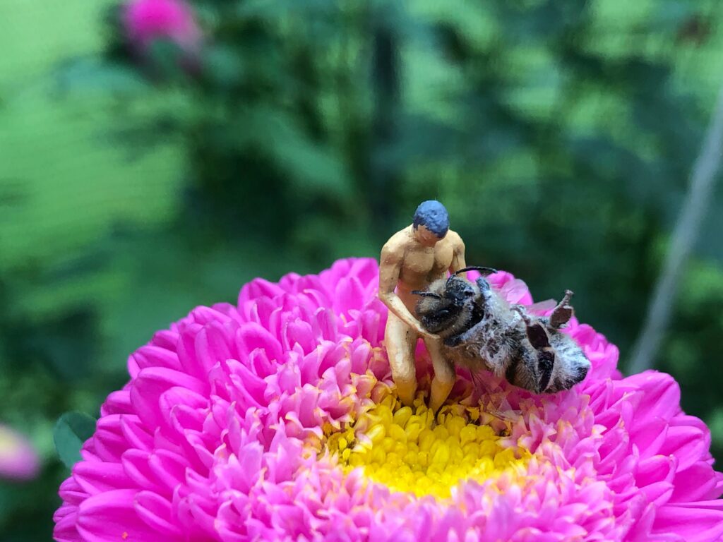 A small figurine of a person interacting with a bee on a vibrant pink flower, surrounded by blurred greenery.